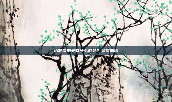 小額信用卡有什么好處？如何申請(qǐng)