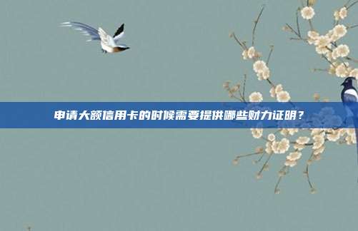 申請大額信用卡的時候需要提供哪些財力證明？