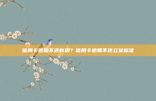 信用卡逾期不還新規?信用卡逾期不還立案標準