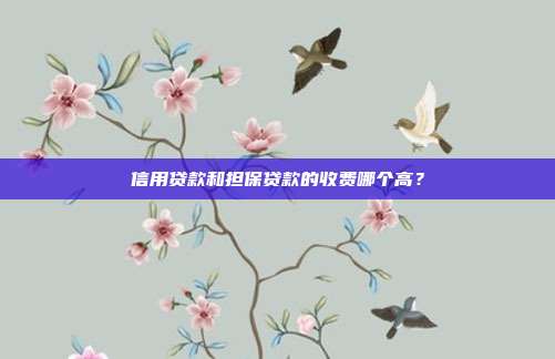 信用貸款和擔(dān)保貸款的收費(fèi)哪個(gè)高？