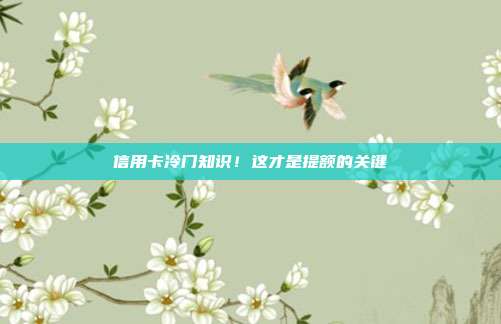 信用卡冷門知識！這才是提額的關(guān)鍵