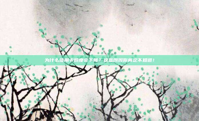 為什么信用卡額度會下降？這些原因你肯定不知道！