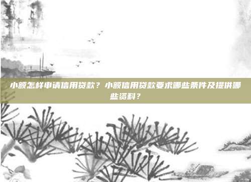 小額怎樣申請信用貸款？小額信用貸款要求哪些條件及提供哪些資料？