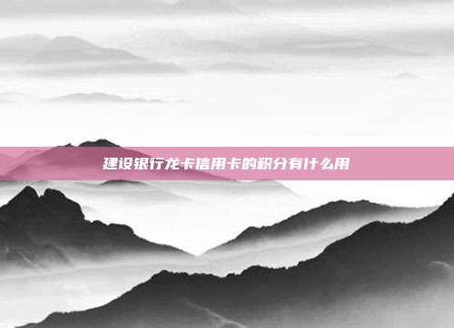 建設銀行龍卡信用卡的積分有什么用