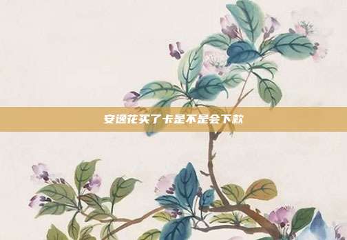 安逸花買(mǎi)了卡是不是會(huì)下款