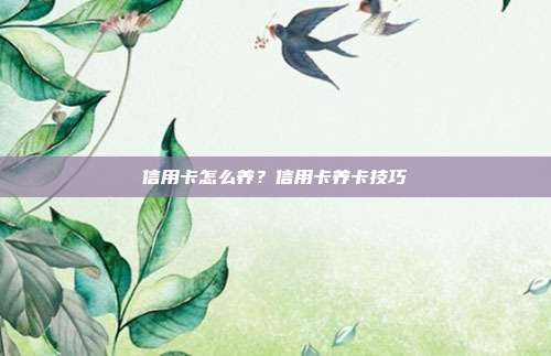 信用卡怎么養？信用卡養卡技巧