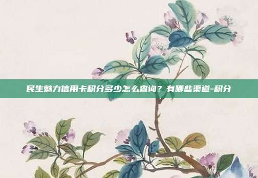 民生魅力信用卡積分多少怎么查詢？有哪些渠道-積分