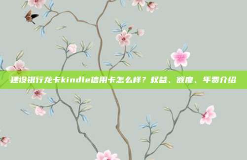 建設(shè)銀行龍卡kindle信用卡怎么樣？權(quán)益、額度、年費介紹