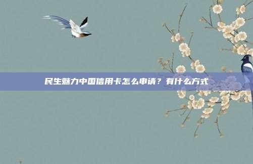 民生魅力中國信用卡怎么申請?有什么方式