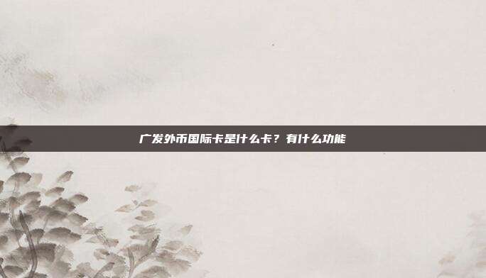 廣發外幣國際卡是什么卡?有什么功能