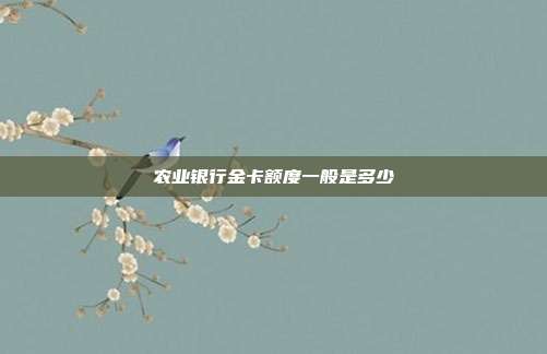 農業(yè)銀行金卡額度一般是多少