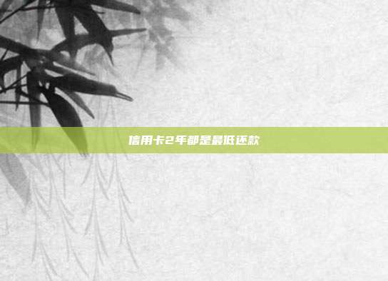 信用卡2年都是最低還款