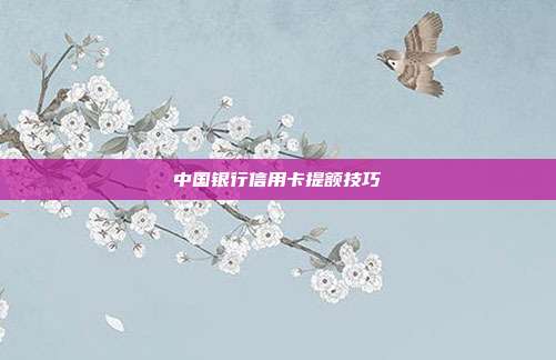 中國銀行信用卡提額技巧
