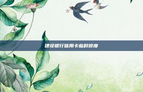 建設銀行信用卡臨時額度