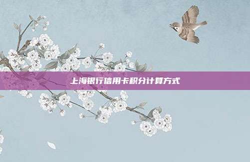 上海銀行信用卡積分計算方式