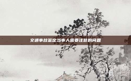 交通事故鑒定當(dāng)事人需要注意的問題