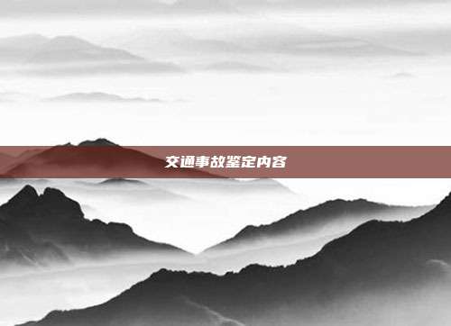 交通事故鑒定內容