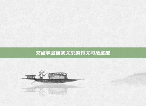 交通事故因果關系的有關司法鑒定