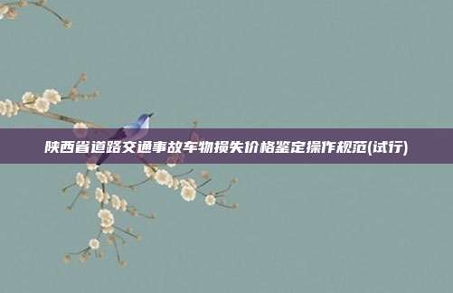 陜西省道路交通事故車物損失價格鑒定操作規(guī)范(試行)