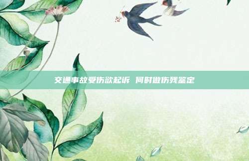 交通事故受傷欲起訴 何時(shí)做傷殘鑒定