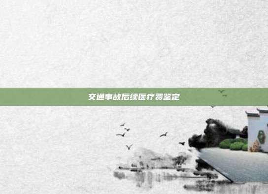 交通事故后續(xù)醫(yī)療費鑒定