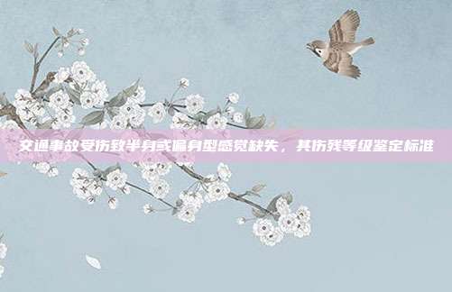 交通事故受傷致半身或偏身型感覺缺失，其傷殘等級鑒定標準