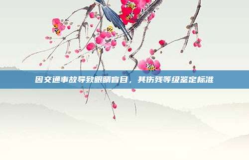 因交通事故導致眼睛盲目,其傷殘等級鑒定標準