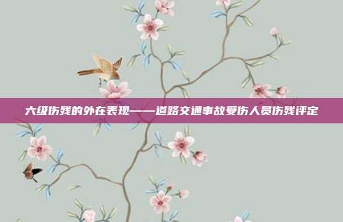 六級傷殘的外在表現——道路交通事故受傷人員傷殘評定