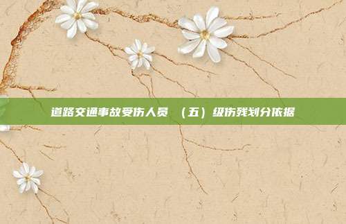 道路交通事故受傷人員Ⅴ(五)級傷殘劃分依據