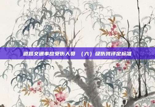 道路交通事故受傷人員Ⅵ（六）級傷殘評定標準