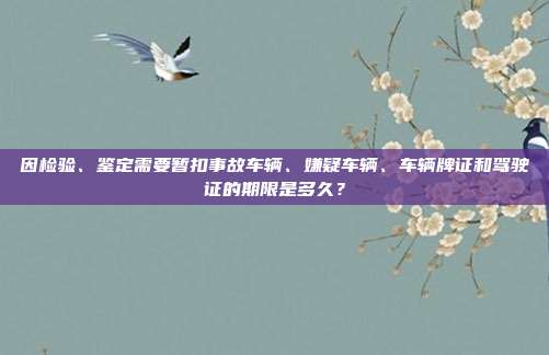 因檢驗、鑒定需要暫扣事故車輛、嫌疑車輛、車輛牌證和駕駛證的期限是多久？