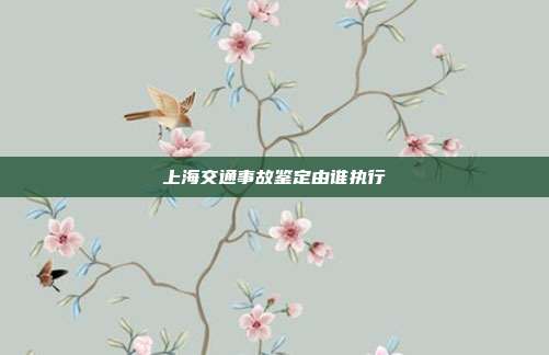 上海交通事故鑒定由誰執(zhí)行