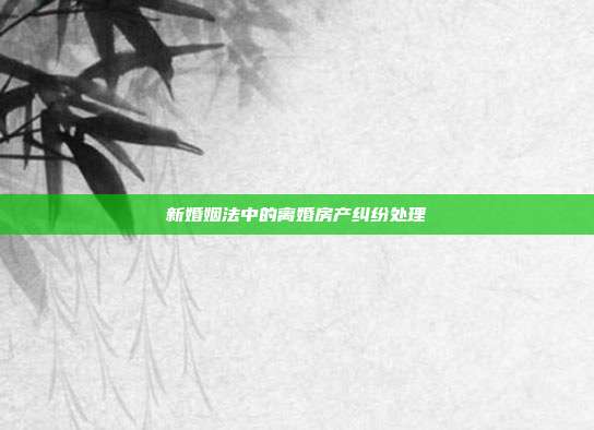 新婚姻法中的離婚房產糾紛處理