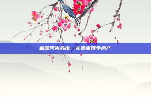 新疆阿克蘇市一夫妻離婚爭房產(chǎn)