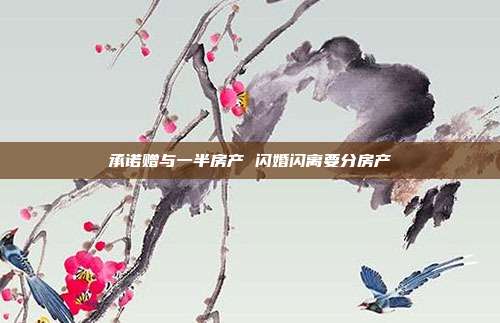 承諾贈(zèng)與一半房產(chǎn) 閃婚閃離要分房產(chǎn)