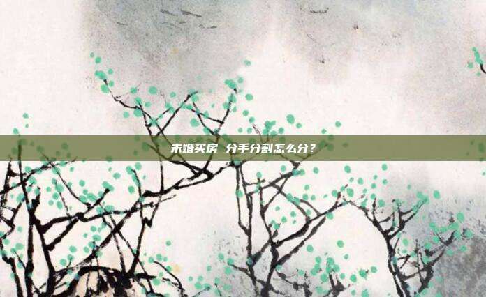 未婚買房 分手分割怎么分？