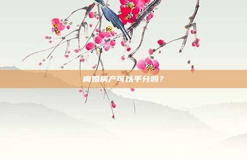 離婚房產可以平分嗎？