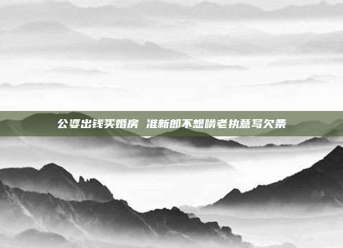 公婆出錢買婚房 準新郎不想啃老執意寫欠條