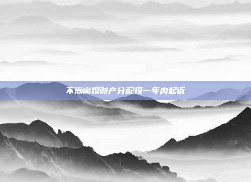 不滿離婚財產分配須一年內起訴