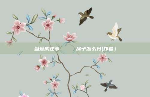 當愛成往事 房子怎么分(作者)