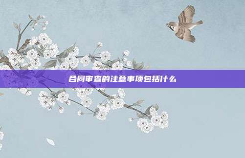 合同審查的注意事項包括什么