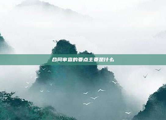合同審查的要點主要是什么