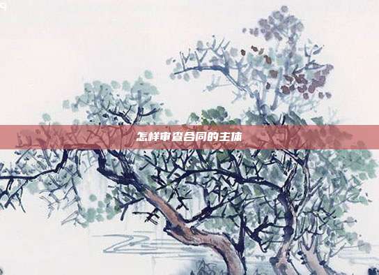 怎樣審查合同的主體