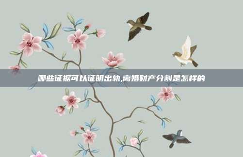 哪些證據可以證明出軌,離婚財產分割是怎樣的