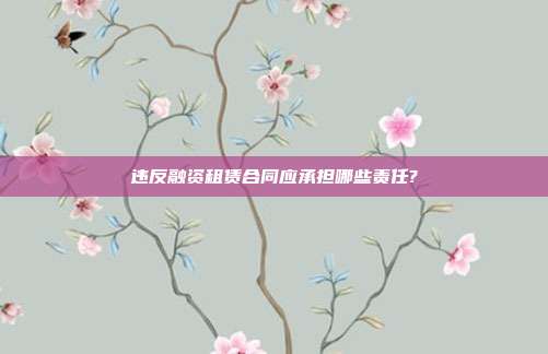 違反融資租賃合同應承擔哪些責任?