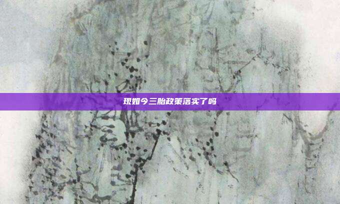 現(xiàn)如今三胎政策落實了嗎