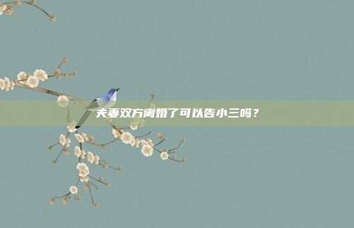 夫妻雙方離婚了可以告小三嗎?