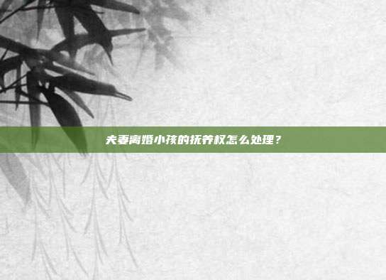夫妻離婚小孩的撫養權怎么處理？
