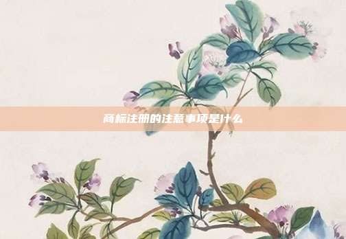 商標注冊的注意事項是什么