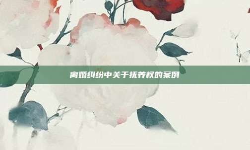 離婚糾紛中關(guān)于撫養(yǎng)權(quán)的案例